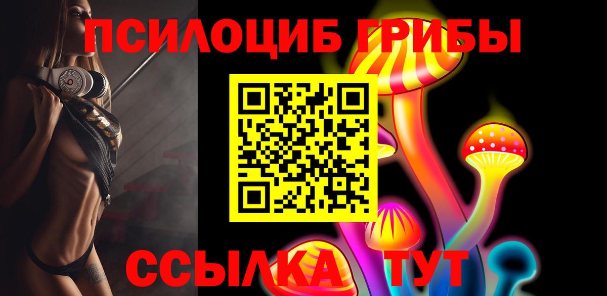где продают   Галлюциногенные грибы GOLDEN TEACHER  Реутов  Вход с VPN  Псилоцибиновые грибы Psilocybine cubensis 